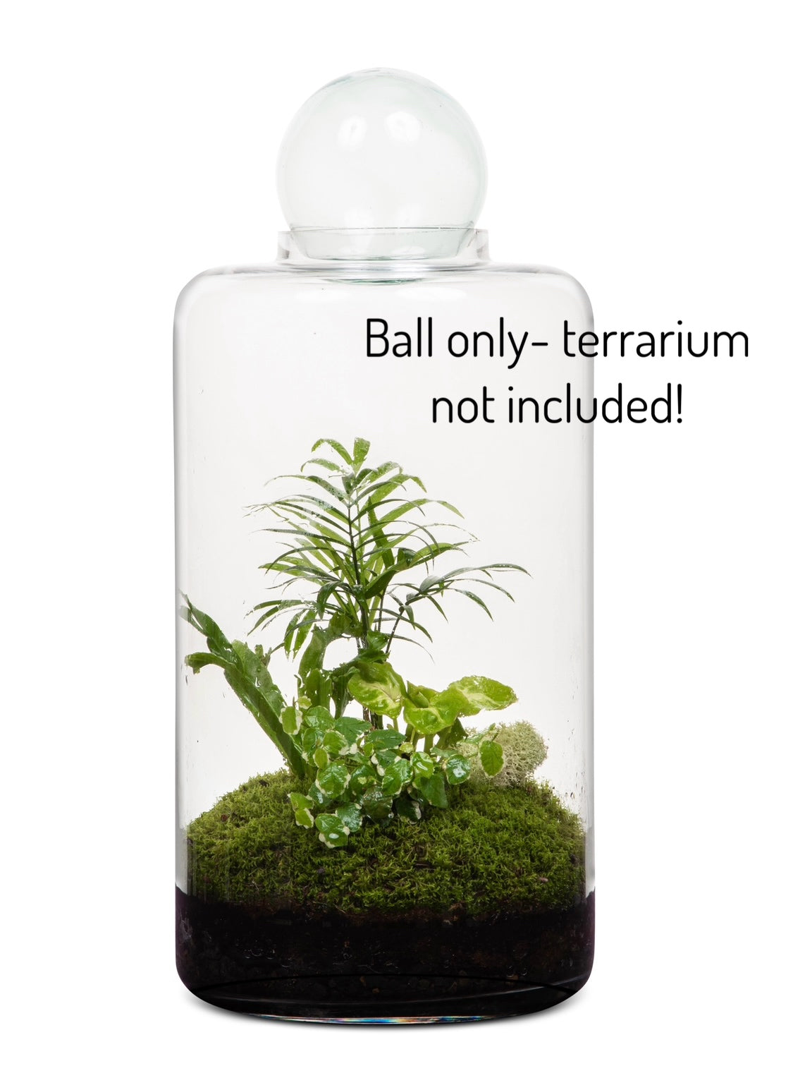 Hand Blown Glass & Wooden Balls