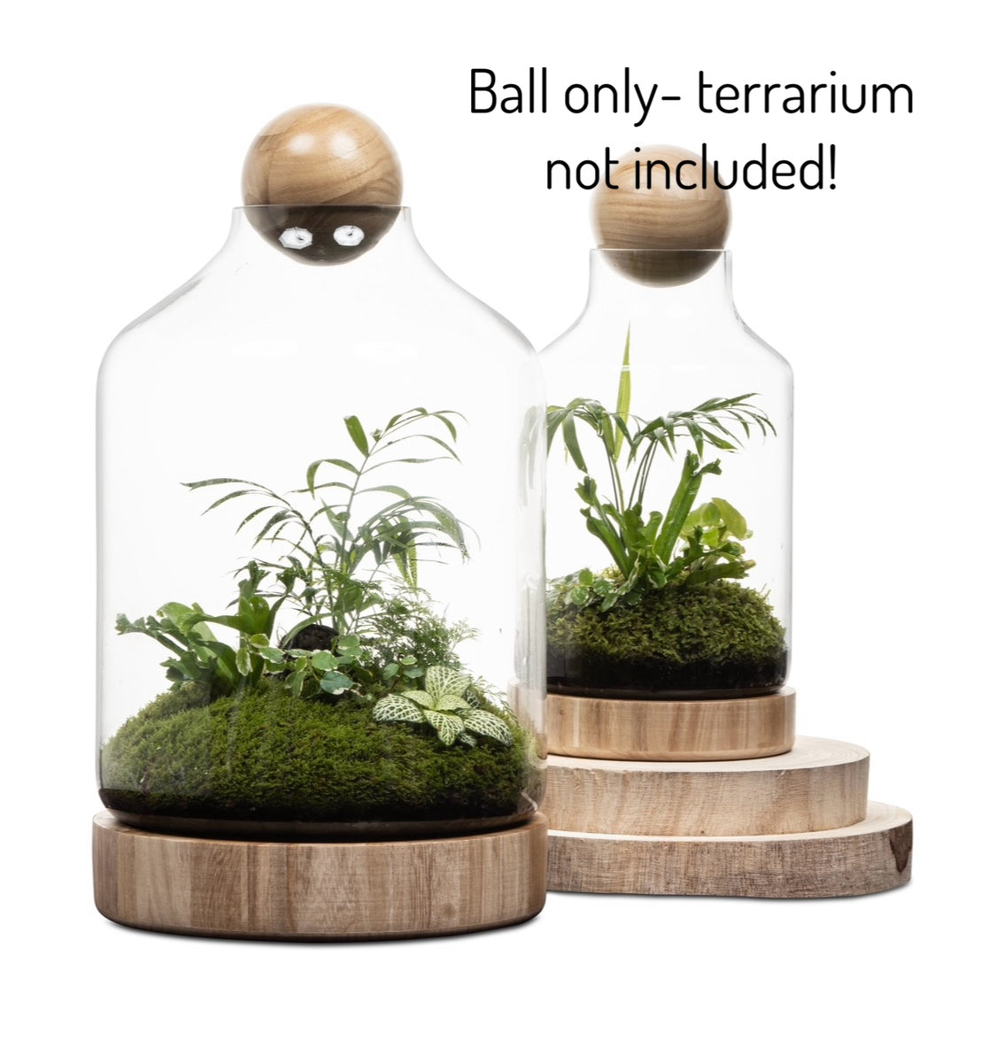 Hand Blown Glass & Wooden Balls