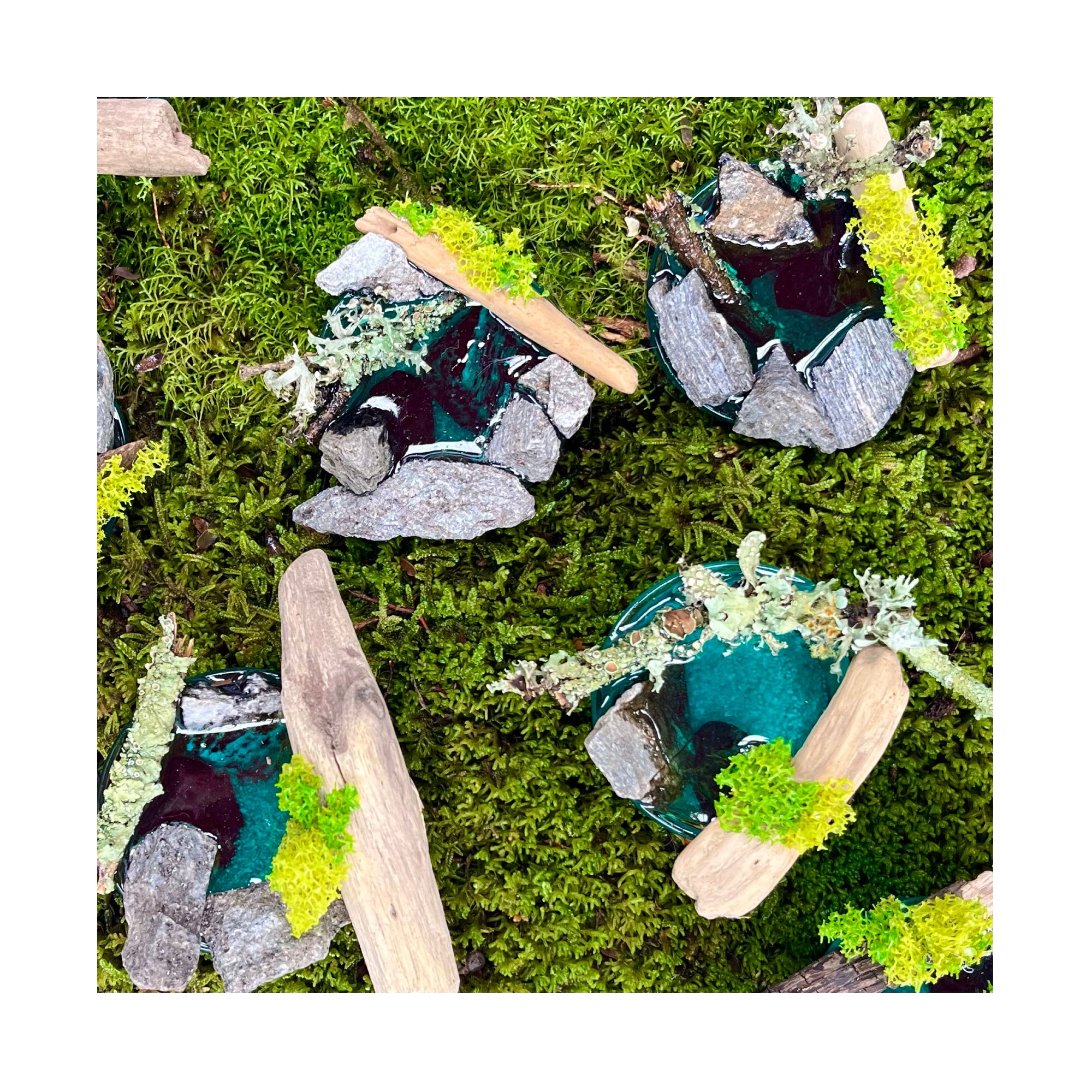 Rainforest Oasis Ponds