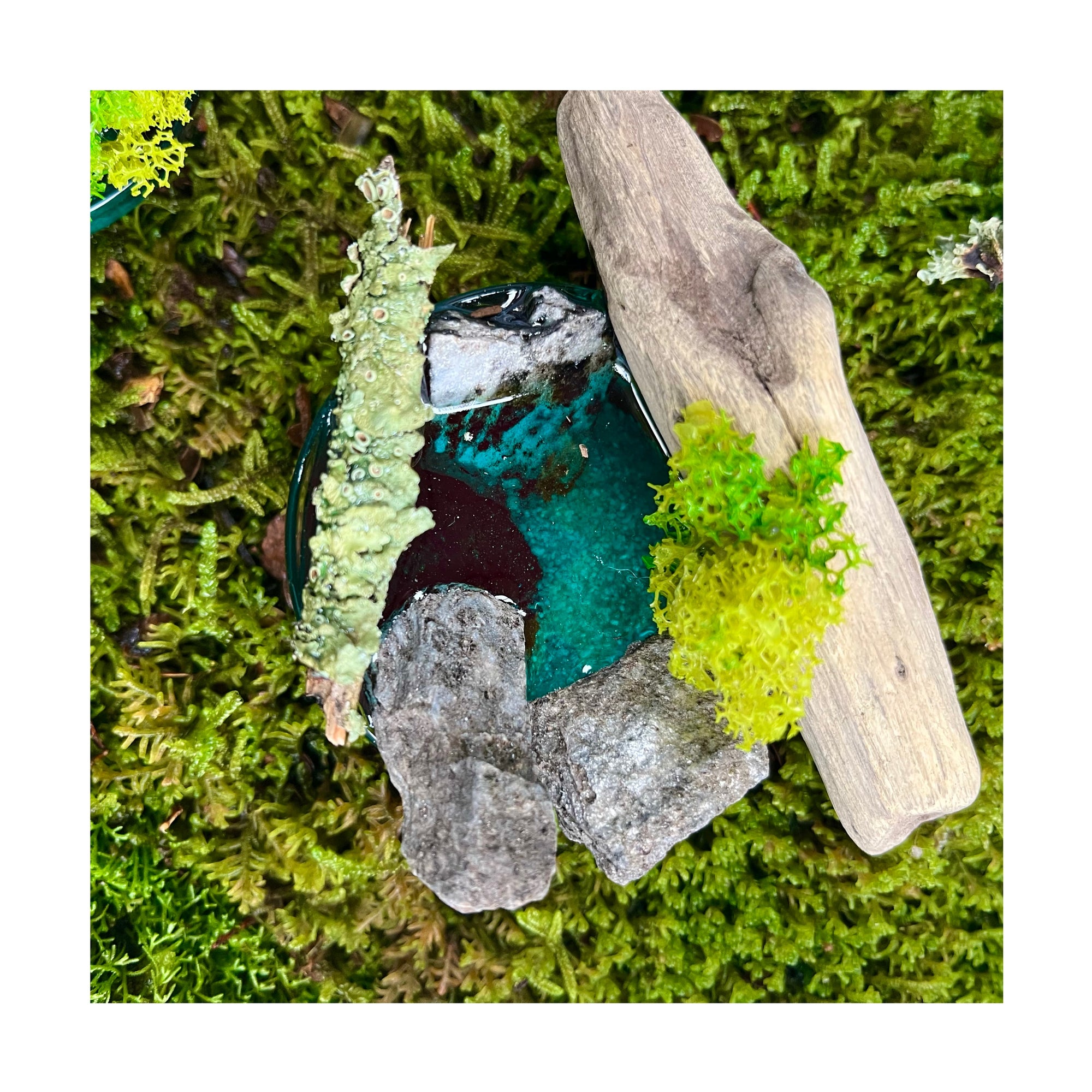 Rainforest Oasis Ponds