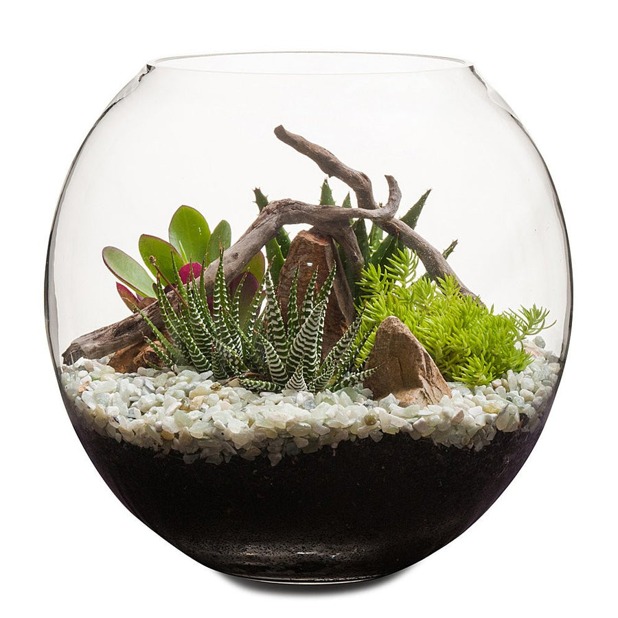 Desertscape Fishbowl Terrarium