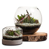 Desertscape Fishbowl Terrarium