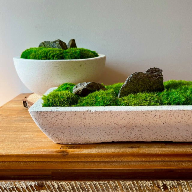 Forever Moss Planter