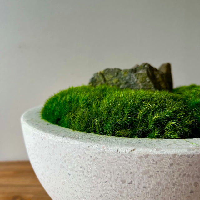 Forever Moss Planter