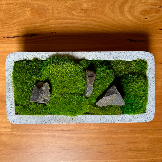 Forever Moss Planter