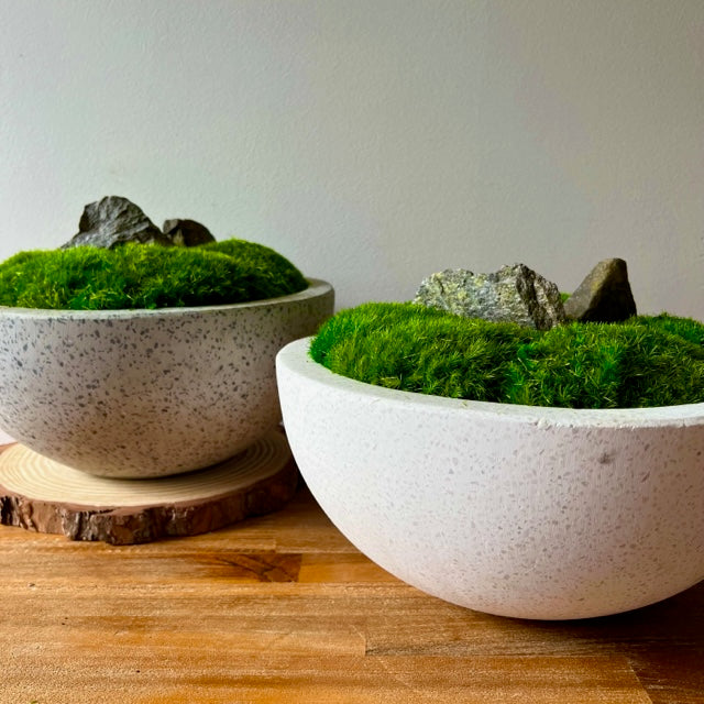 Forever Moss Planter