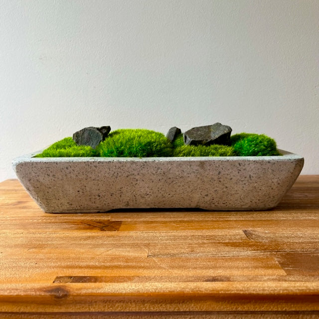 Forever Moss Planter
