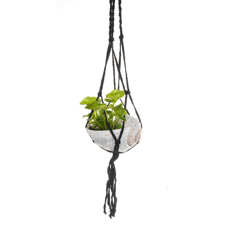 Macramé Shell Hanging Planter 
