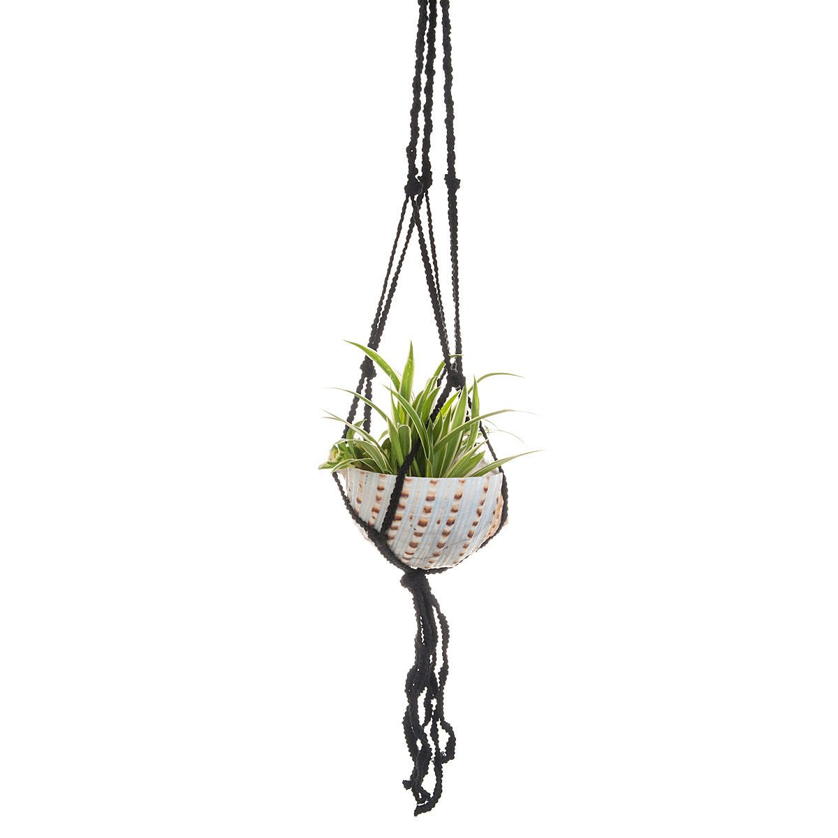 macrame shell plant hanger Macramé Shell Hanging Planter