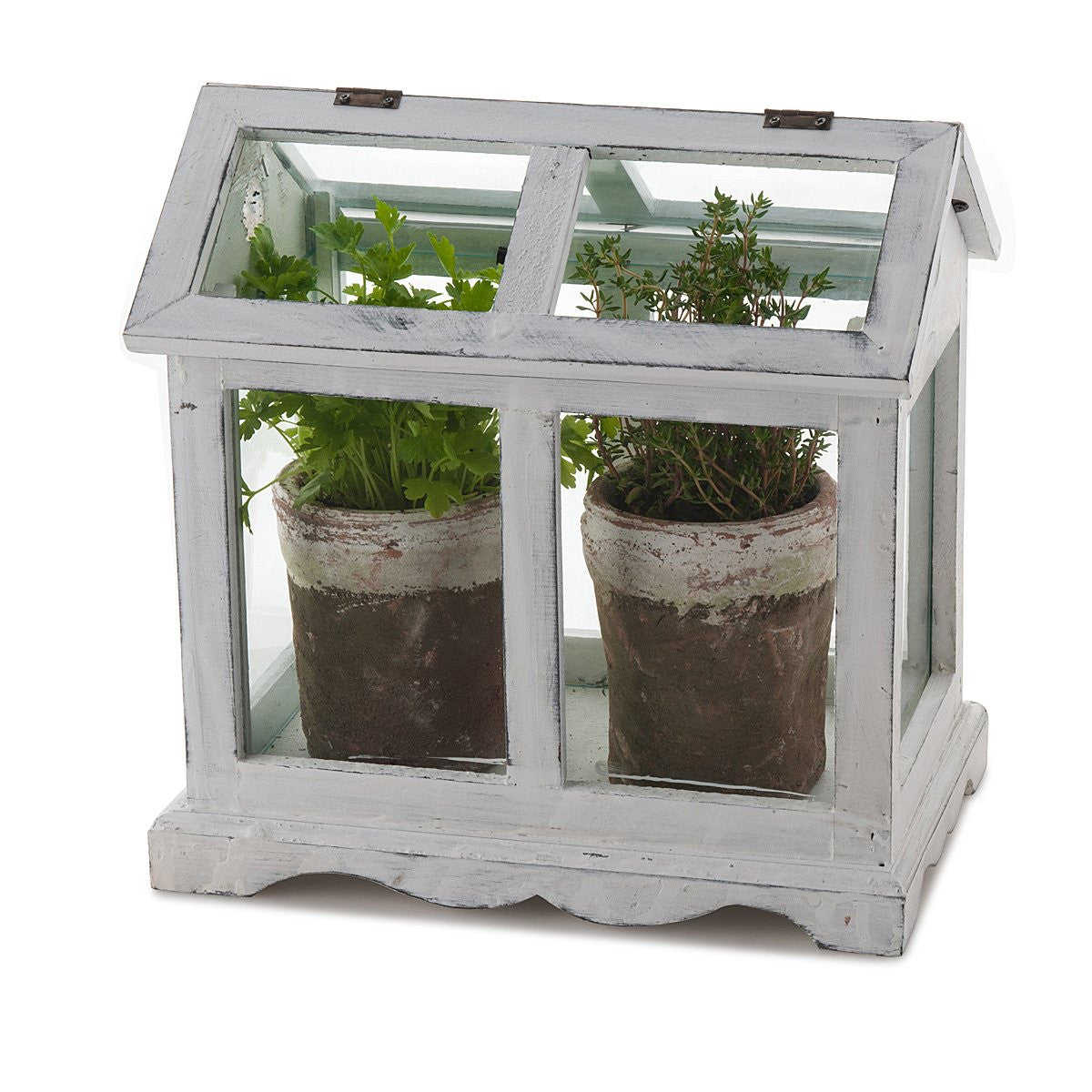 Mini Herb Greenhouse