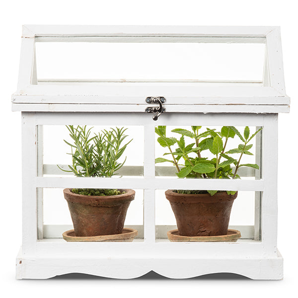 Mini Herb Greenhouse