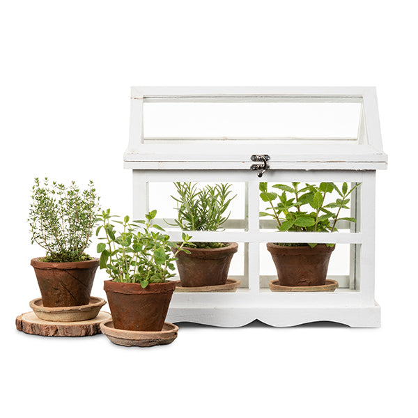 Mini Herb Greenhouse