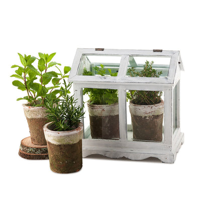Mini Herb Greenhouse