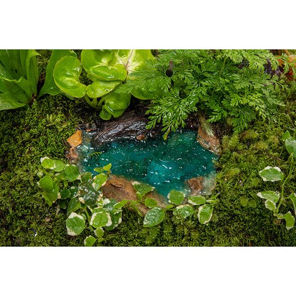 Rainforest Oasis Ponds