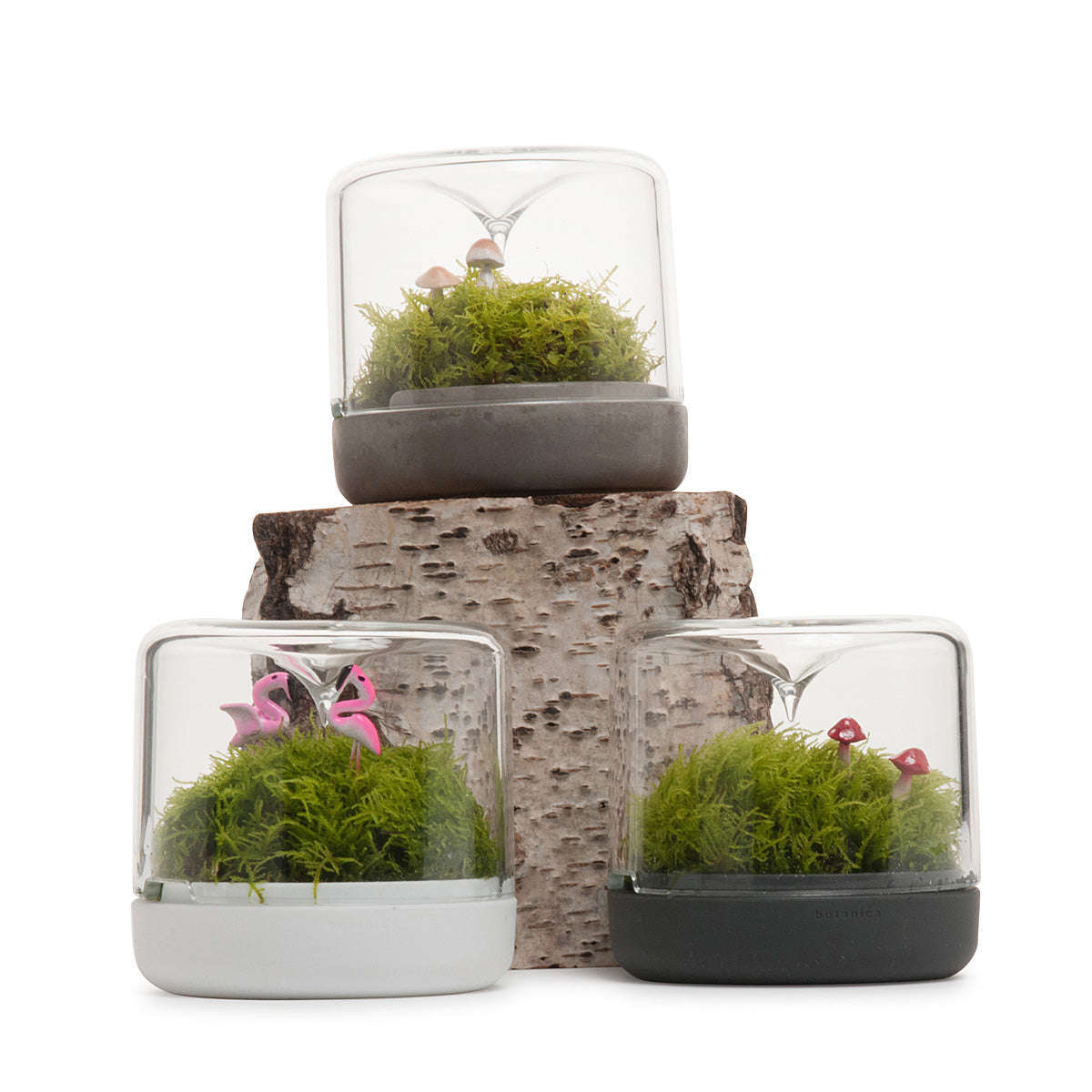 Sanctuary S Rainforest Terrarium - White