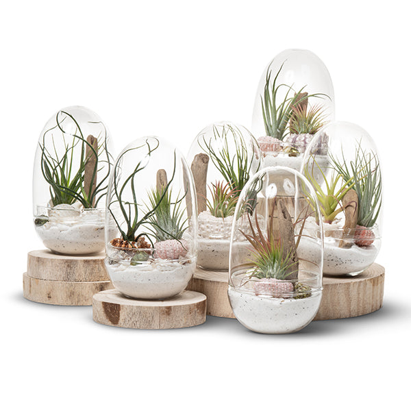 Wooden Rise - Pot Base