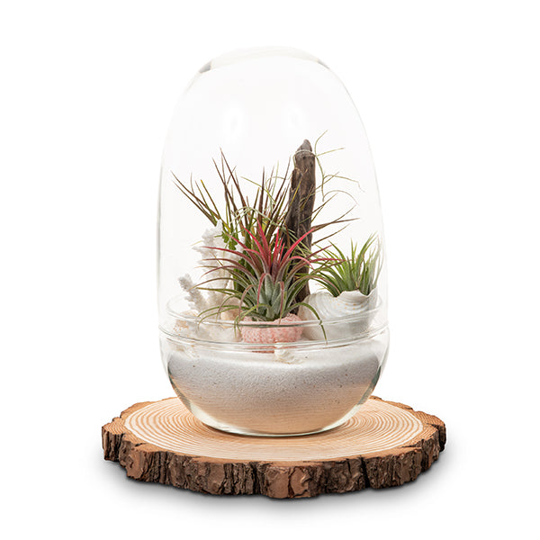 Wooden Rise - Pot Base