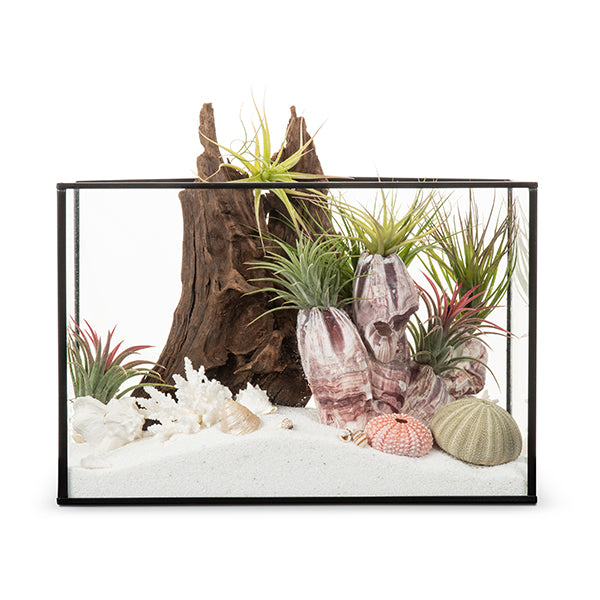 Seascape Terquarium