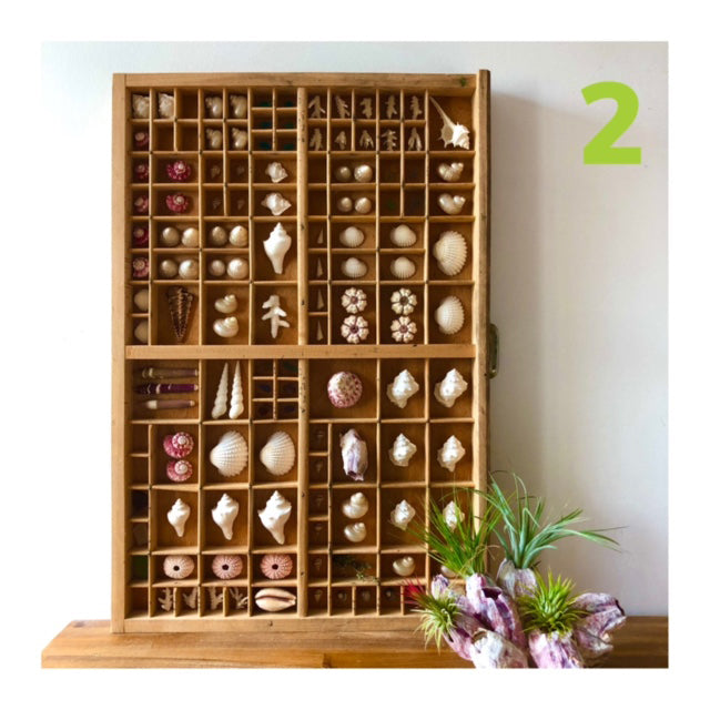 Vintage Seascape Print Trays