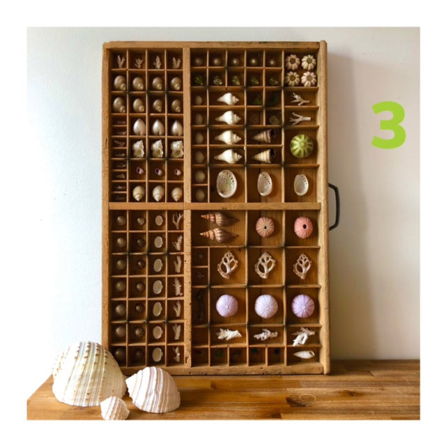 Vintage Seascape Print Trays