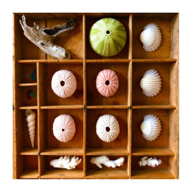 Vintage Seascape Print Trays