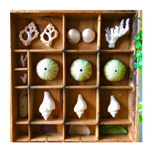 Vintage Seascape Print Trays