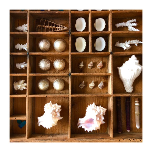 Vintage Seascape Print Trays