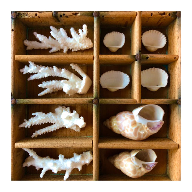 Vintage Seascape Print Trays