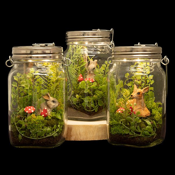 Woodland By Night Terrarium