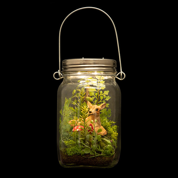 Woodland By Night Terrarium