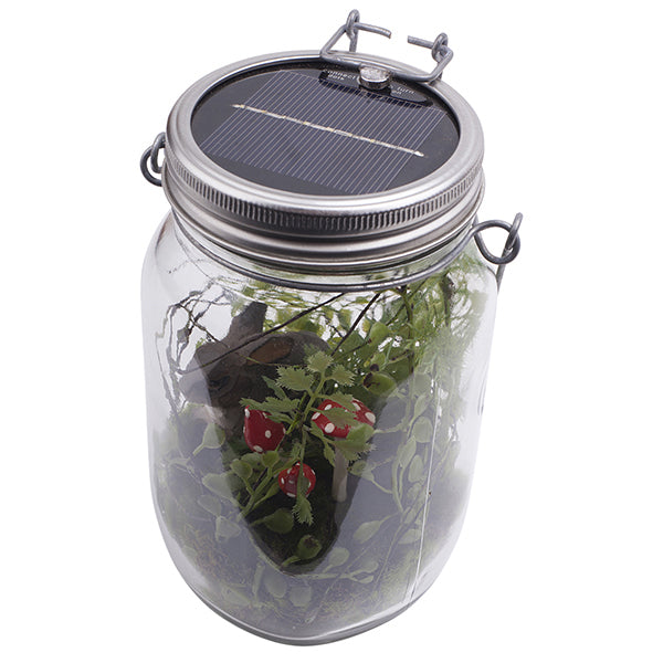 Woodland By Night Terrarium