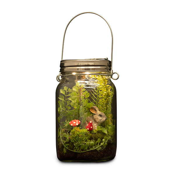 Woodland By Night Terrarium