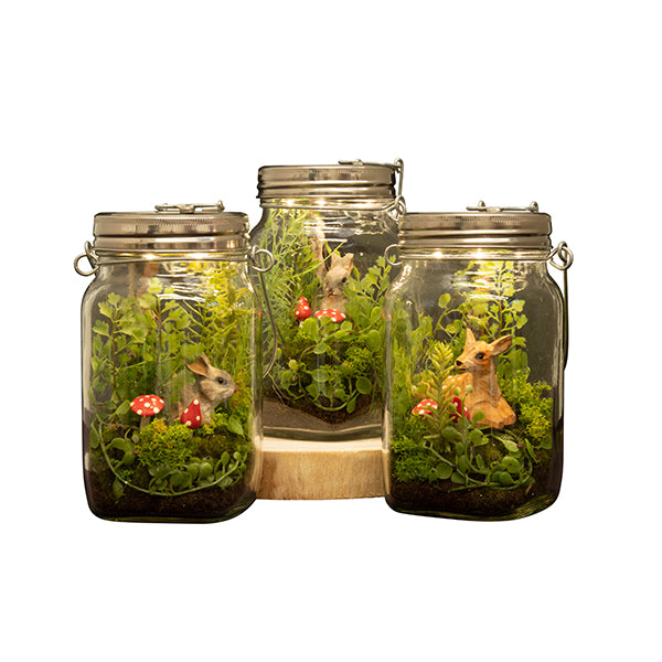Woodland By Night Terrarium