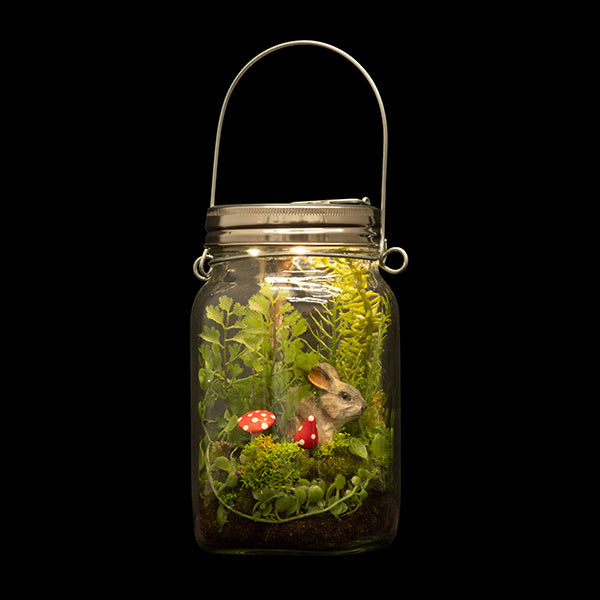 Woodland By Night Terrarium